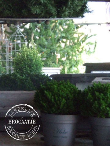 [winter 2010 011[5].jpg]