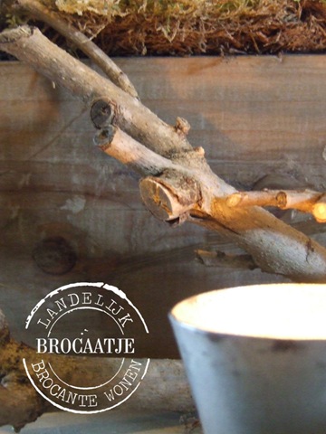 [winter 2110 033[2].jpg]