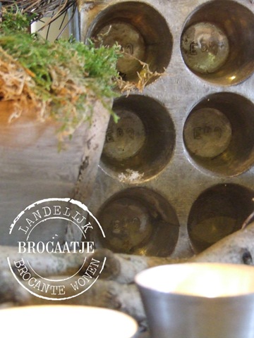 [winter 2110 020[2].jpg]