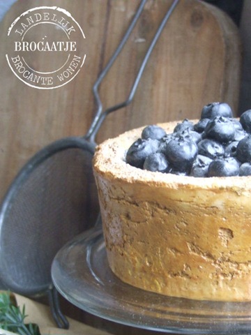 [januari 2011 017[3].jpg]