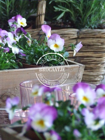 [27 maart 022[8].jpg]