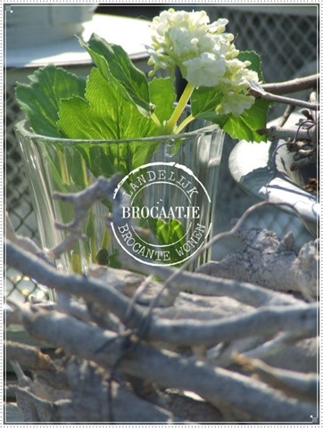 [april 2011 039[3].jpg]