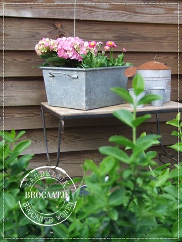 [april 2011 029[3].jpg]