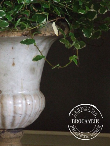 [mei 2011 017[2].jpg]