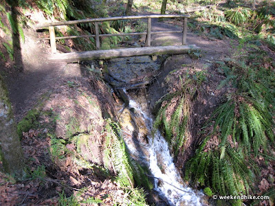 wilderness peak trail