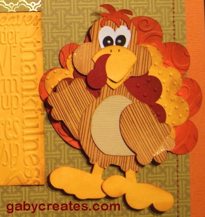 [gaby turkey close up[5].jpg]