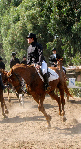 trotteur reforme