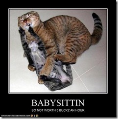 cat-babysitting