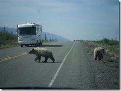 Bears-on-hiway- (Small)