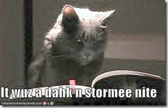 Cat-itwuzadark-stormy-night-2