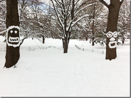 Snowtrees-smile-and-surprise-in-Central-Park_-NYC