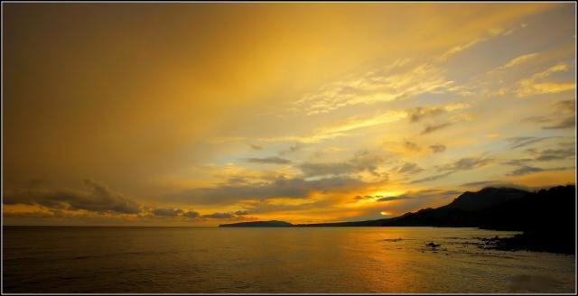 Color of Nature: Shades of Light