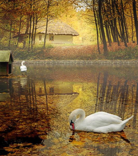 Color of Nature: Shades of Light