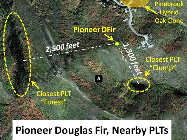 [Pioneer DFir Map[4].jpg]