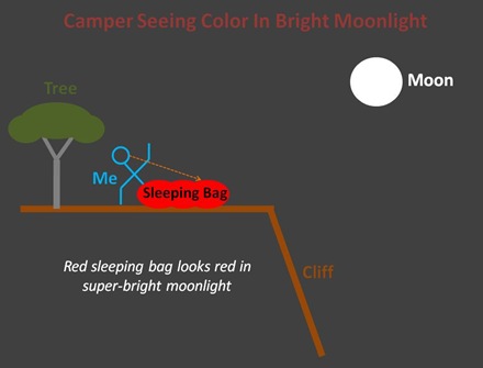 Camper Moonlight Color