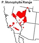 Monophyllla Range Caption