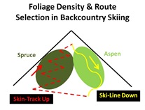 BC Ski Route Selection