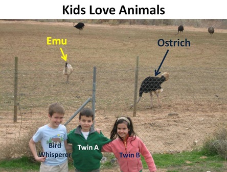Kids Love Animals
