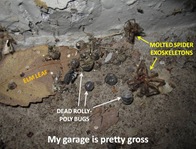 Gross Garage