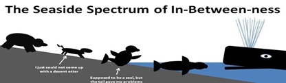 IB Spectrum[4]