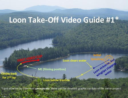 Loon Video Guide1