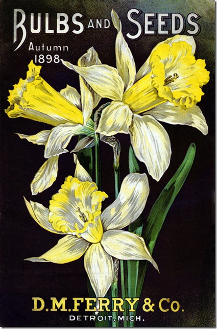 vintage-daffodils