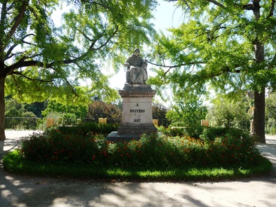 [estatua de brotero no jardim botanico[4].jpg]