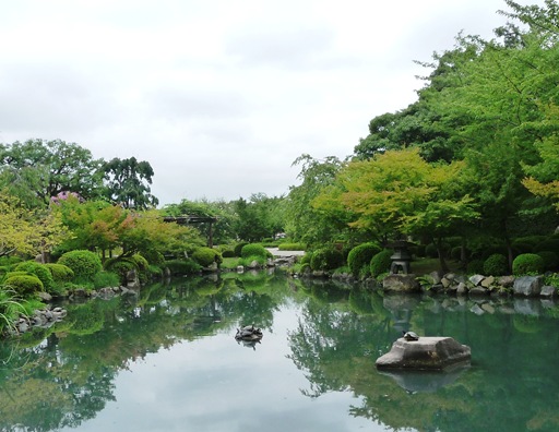 17.templo Toji - jardim - lago - tartarugas