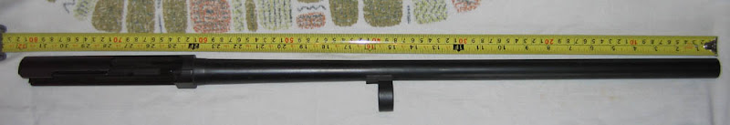 IMG_7187cropped.jpg