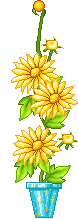 119.gif