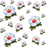 10.png