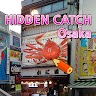 Hidden Catch Osaka PLUS Game icon