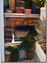 full  fridge