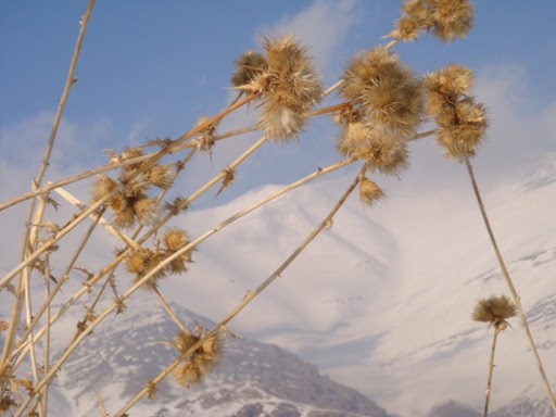 نشاط کوهستان را ببینید www.neshate-koohestan.tk