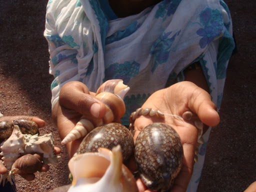 نشاط کوهستان - جزیره هرمز - 871109 