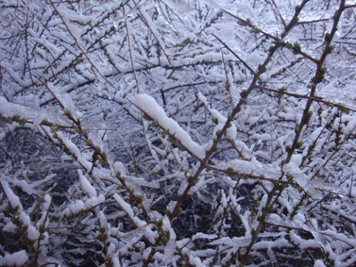 نشاط کوهستان 