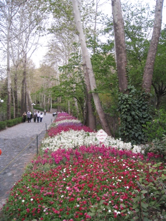 نشاط کوهستان - پارک جمشیدیه 880204