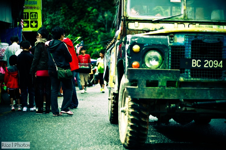 Cameron Highland-8262