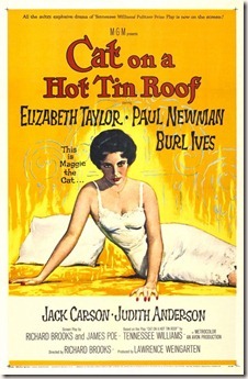 cat_on_a_hot_tin_roof