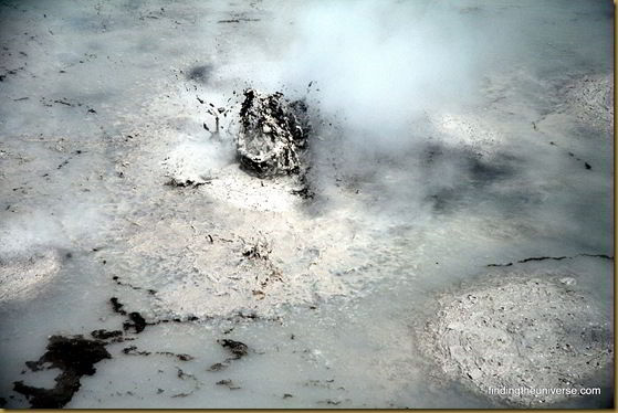 Bubbling mud pools near Wai-o-tapu thermal reserve - Rotorua 2