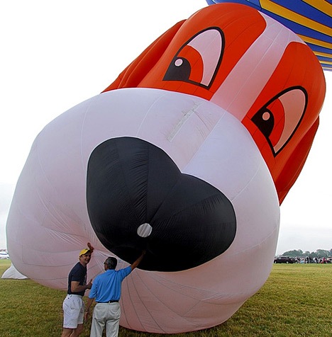 [hot_air_balloon_7sfw5.jpg]