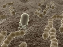 nanotechnology-robot