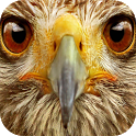 Animals Sound Box PRO icon