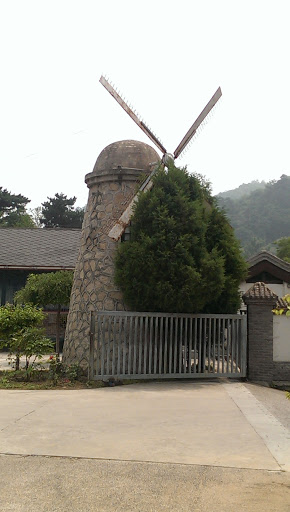 Overgrown Windmill