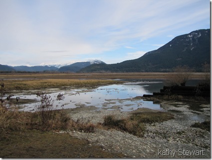 log bay