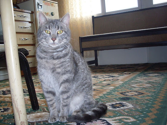SDC15589.JPG