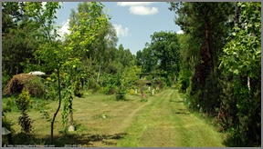 Babij Garden Budziarze - Mój ogród półdziki