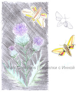 Thistle and hawk moth, sketch