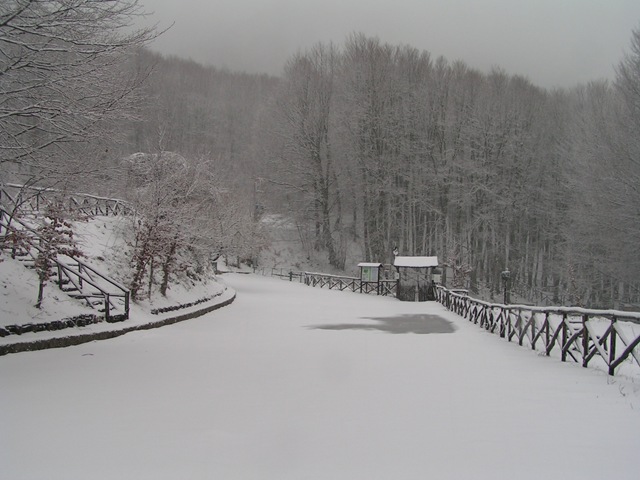 [Prima neve 2010[11].jpg]