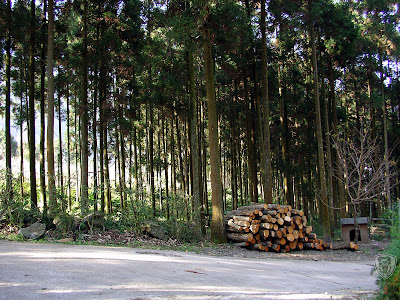苗栗南庄蘿菈農場 @八大露營社活動